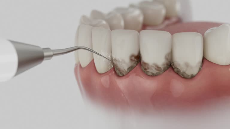 Reliable Dental contractor in Powell County County, MT by Dentist Open Now